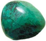 Chrysocolle